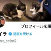 ヒメ日記 2026/01/03 13:22 投稿 セイラ 名古屋Ｍ性感 ルーフ倶楽部