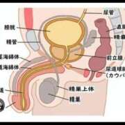 ヒメ日記 2026/04/30 07:55 投稿 セイラ 名古屋Ｍ性感 ルーフ倶楽部