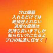 ヒメ日記 2026/07/30 09:01 投稿 セイラ 名古屋Ｍ性感 ルーフ倶楽部