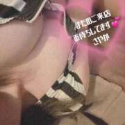 ヒメ日記 2025/02/12 08:15 投稿 松浦 さやか プルプルハウス