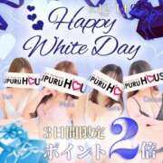 ヒメ日記 2025/03/14 05:18 投稿 松浦 さやか プルプルハウス