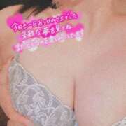 ヒメ日記 2025/03/18 07:31 投稿 松浦 さやか プルプルハウス