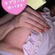 ヒメ日記 2025/03/31 07:01 投稿 松浦 さやか プルプルハウス