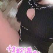 ヒメ日記 2025/04/03 07:04 投稿 松浦 さやか プルプルハウス