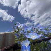 ヒメ日記 2025/05/11 05:13 投稿 松浦 さやか プルプルハウス