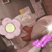 ヒメ日記 2025/06/26 07:33 投稿 松浦 さやか プルプルハウス