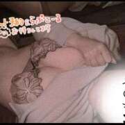 ヒメ日記 2025/08/05 07:31 投稿 松浦 さやか プルプルハウス