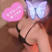 ヒメ日記 2025/09/30 07:31 投稿 松浦 さやか プルプルハウス