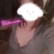 ヒメ日記 2026/01/24 07:31 投稿 松浦 さやか プルプルハウス