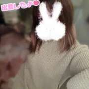 ヒメ日記 2026/02/26 06:08 投稿 松浦 さやか プルプルハウス