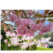 ヒメ日記 2025/04/09 22:12 投稿 ☆きみえ奥様 club生奥様～福島店～