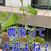 ヒメ日記 2025/06/04 15:12 投稿 ☆きみえ奥様 club生奥様～福島店～