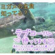 ヒメ日記 2025/10/21 14:12 投稿 ☆きみえ奥様 club生奥様～福島店～