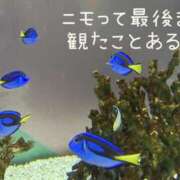 ヒメ日記 2026/02/04 13:33 投稿 ☆きみえ奥様 club生奥様～福島店～