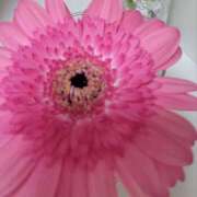 ヒメ日記 2025/02/10 06:56 投稿 みみ 奥鉄オクテツ神奈川店（デリヘル市場グループ）