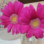 ヒメ日記 2025/02/12 15:16 投稿 みみ 奥鉄オクテツ神奈川店（デリヘル市場グループ）