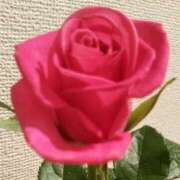 ヒメ日記 2025/02/13 06:05 投稿 みみ 奥鉄オクテツ神奈川店（デリヘル市場グループ）