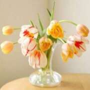 ヒメ日記 2025/02/13 14:21 投稿 みみ 奥鉄オクテツ神奈川店（デリヘル市場グループ）