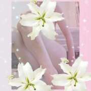 ヒメ日記 2025/07/29 18:47 投稿 みみ 奥鉄オクテツ神奈川店（デリヘル市場グループ）