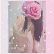 ヒメ日記 2025/09/14 08:05 投稿 みみ 奥鉄オクテツ神奈川店（デリヘル市場グループ）