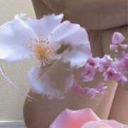 ヒメ日記 2025/10/30 07:28 投稿 みみ 奥鉄オクテツ神奈川店（デリヘル市場グループ）