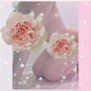 ヒメ日記 2025/11/06 09:40 投稿 みみ 奥鉄オクテツ神奈川店（デリヘル市場グループ）