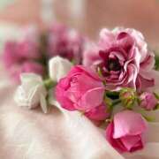 ヒメ日記 2025/11/10 20:42 投稿 みみ 奥鉄オクテツ神奈川店（デリヘル市場グループ）