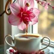 みみ 本日のご予約のお礼です🌷 奥鉄オクテツ神奈川店（デリヘル市場グループ）