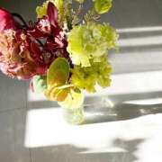 ヒメ日記 2025/05/14 11:07 投稿 ことね 錦糸町人妻セレブリティ（ユメオト）