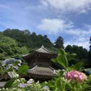 ヒメ日記 2025/06/15 23:26 投稿 ことね 錦糸町人妻セレブリティ（ユメオト）