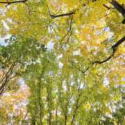 ヒメ日記 2025/12/18 12:19 投稿 ことね 錦糸町人妻セレブリティ（ユメオト）