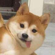 ヒメ日記 2025/04/24 22:53 投稿 佐藤るな 渋谷ガーデン