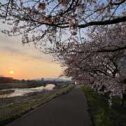 ヒメ日記 2026/04/03 06:20 投稿 花園 笑 五十路マダム 仙台店