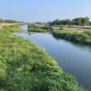 ヒメ日記 2026/07/20 07:24 投稿 花園 笑 五十路マダム 仙台店