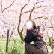 ヒメ日記 2025/04/10 07:28 投稿 えりか エンジェルエステplus