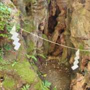 ヒメ日記 2025/01/01 12:58 投稿 美宙(みひろ) 熟女出逢い会『百合の園』目黒店