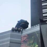 ヒメ日記 2025/03/08 11:58 投稿 美宙(みひろ) 熟女出逢い会『百合の園』目黒店