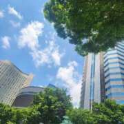 ヒメ日記 2025/07/17 08:58 投稿 美宙(みひろ) 熟女出逢い会『百合の園』目黒店