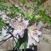 ヒメ日記 2025/08/21 23:38 投稿 美宙(みひろ) 熟女出逢い会『百合の園』目黒店