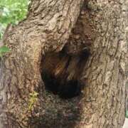 ヒメ日記 2025/09/30 11:28 投稿 美宙(みひろ) 熟女出逢い会『百合の園』目黒店