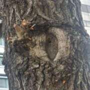 ヒメ日記 2025/10/04 09:48 投稿 美宙(みひろ) 熟女出逢い会『百合の園』目黒店