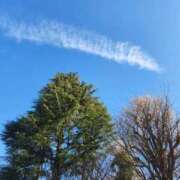 ヒメ日記 2025/10/08 08:48 投稿 美宙(みひろ) 熟女出逢い会『百合の園』目黒店