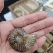 ヒメ日記 2025/10/27 08:48 投稿 美宙(みひろ) 熟女出逢い会『百合の園』目黒店