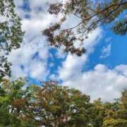 ヒメ日記 2025/10/27 18:08 投稿 美宙(みひろ) 熟女出逢い会『百合の園』目黒店