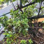 ヒメ日記 2025/10/28 10:38 投稿 美宙(みひろ) 熟女出逢い会『百合の園』目黒店