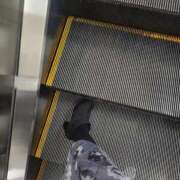 ヒメ日記 2025/11/13 10:38 投稿 美宙(みひろ) 熟女出逢い会『百合の園』目黒店