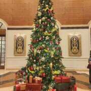 ヒメ日記 2025/11/24 01:48 投稿 美宙(みひろ) 熟女出逢い会『百合の園』目黒店