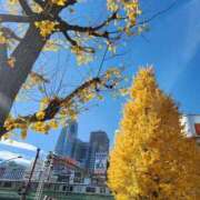 ヒメ日記 2025/12/05 08:28 投稿 美宙(みひろ) 熟女出逢い会『百合の園』目黒店