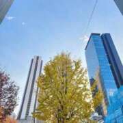 美宙(みひろ) 地震の地域の皆様 熟女出逢い会『百合の園』目黒店