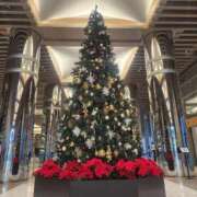 ヒメ日記 2025/12/24 17:39 投稿 美宙(みひろ) 熟女出逢い会『百合の園』目黒店